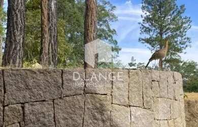 Imagem 13: Terreno à venda no bairro Joaquim Egídio em Campinas