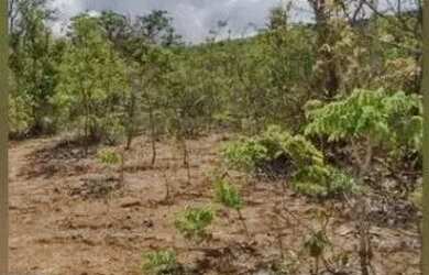 Imagem 5: FAZENDA - 1.500 HECTARES. 15.000.000m² de Área