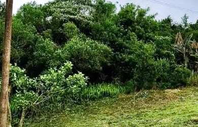 Imagem 6: Terreno para Venda em Nova Petrópolis, Vila Olinda