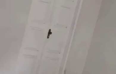 Imagem 10: Casa para alugar na Caxangá 3 quartos 1 suíte com closet 1 vaga de garagem...