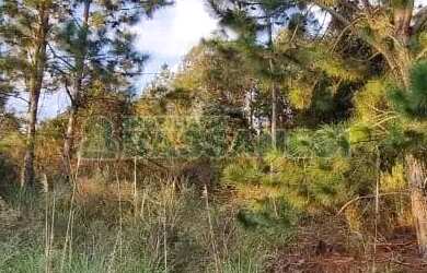 Imagem 3: Terreno Parada Cristal Caxias do Sul