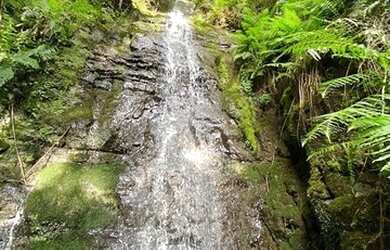 Imagem: O terreno está localizado em Urubici, SC à venda por R$450.000