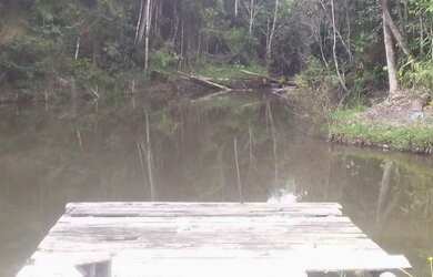 Imagem 3: VENDO LINDA FAZENDA EM STA CRUZ CABRALIA pertinho de PORTO SEGURO - BA