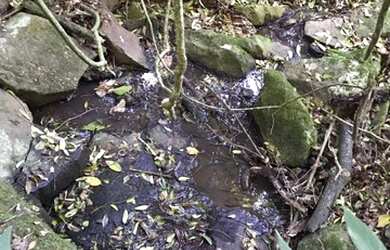 Imagem 6: VENDO CHÁCARA 1 HECTARE NA FAZENDA FIALHO