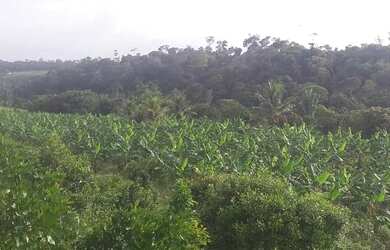 Imagem 5: VENDO LINDA FAZENDA EM STA CRUZ CABRALIA pertinho de PORTO SEGURO - BA