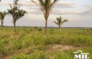 Imagem 1: Fazenda em Goianésia do Pará. > 214 Alq. (1.036 Há