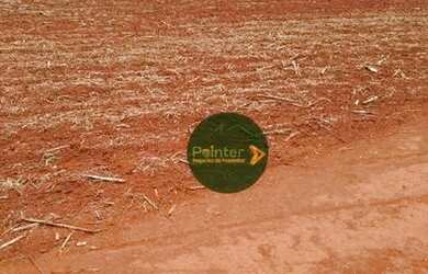 Imagem 4: Fazenda à venda, 10696400 m² por R$ 95.000.000,00 - Zona Rural - Palestina...