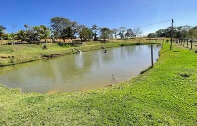 Imagem 14: Chácara de luxo em Trindade-Go 7.68 alqueires