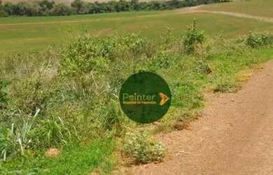 Imagem 5: Fazenda à venda, 10696400 m² por R$ 95.000.000,00 - Zona Rural - Palestina...