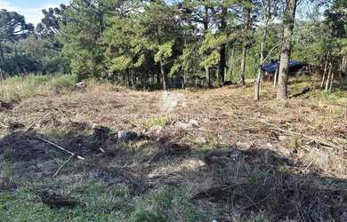 Imagem 4: TERRENO EM LOTEAMENTO DE GRAMADO