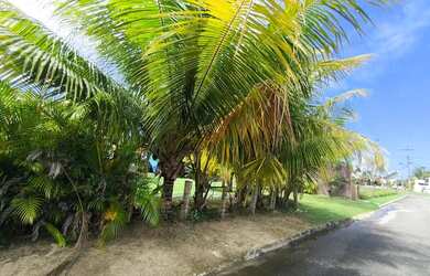 Imagem 3: Casa térrea com mais de 500 m de terreno pronta para receber sua personalização