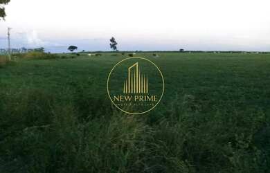 Imagem 12: Fazenda à Venda Unaí/MG 472 ha