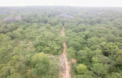 Imagem 2: Fazenda 15.416. Valor 61.664.000