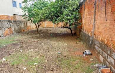 Imagem 2: Lote 300 metros quadrados a venda Bairro de Lourdes