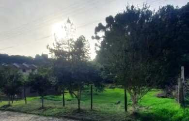 Imagem 3: CAXIAS DO SUL - Terreno Padrão - SÃO LUIZ DA 6ª LÉGUA