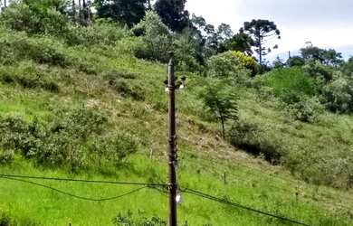 Imagem: O terreno possui 1350m² de Área e está localizado em Miguel