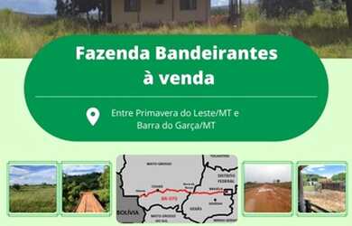 Imagem: A fazenda possui 2.922m² de Área e está localizado em Tesouro