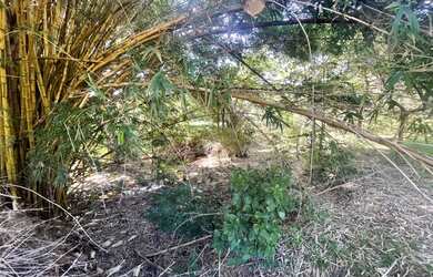 Imagem 8: Fazenda/Sítio a venda com 30Alq. quot 145,2Ha. quot Fazenda Nova/Go