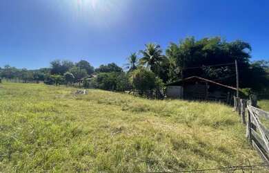 Imagem 13: Fazenda/Sítio a venda com 30Alq. quot 145,2Ha. quot Fazenda Nova/Go