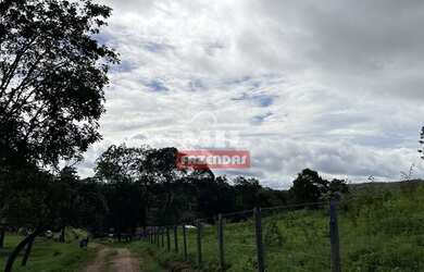 Imagem 8: Fazenda 31,5 alqueires 153 hectares em Hidrolândia - GO