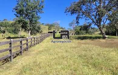 Imagem 13: Fazenda de 23.5 Alqueires a 105 km de Goiânia pega 50 em trama