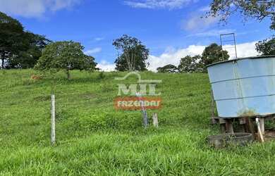 Imagem 4: Fazenda 31,5 alqueires 153 hectares em Hidrolândia - GO