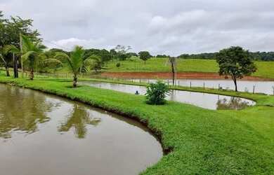 Imagem 10: Chácara de luxo em Trindade-Go 7.68 alqueires