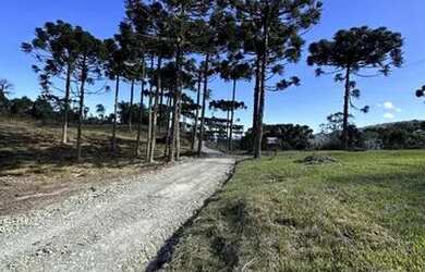 Imagem: A fazenda possui 20.000m² de Área e está localizado em Urubici