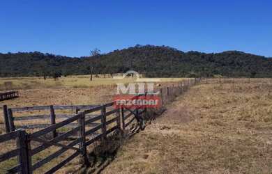 Imagem: A fazenda está localizado em São Luís de Montes Belos, GO