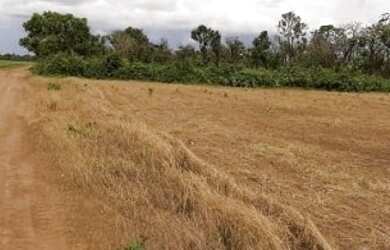 Imagem: A fazenda está localizado em Aliança do Tocantins, TO à venda