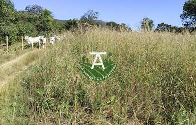 Imagem 4: Fazenda no Faina GO 38 alq