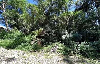 Imagem 5: Terreno a venda Vila Suzana em Canela