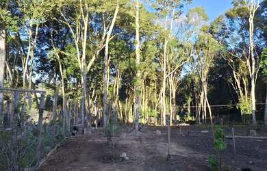 Imagem: A chácara possui 1.540m² de Área e está localizado em Embu