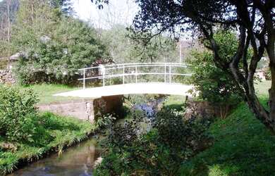Imagem 7: Belíssimo Sitio em Nova Petrópolis Localizado na linha imperial, zona...