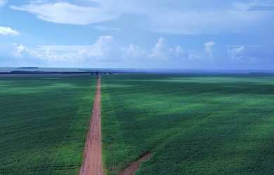 Imagem: A fazenda possui 5700-0m² de Área e está localizado em Diamantino