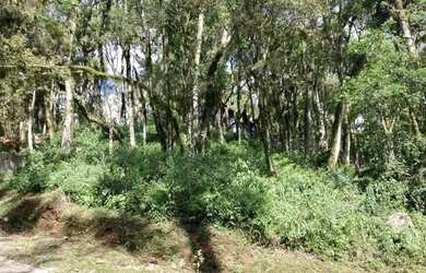 Imagem 4: Terreno em Condomínio - Bairro Pinheiro Grosso