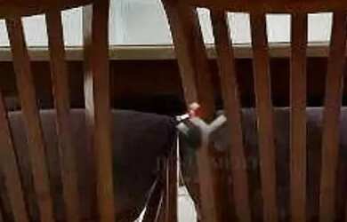 Imagem 10: Apartamento com 1 quarto para alugar, 45 m² por R$ 2.420/mês - Nova...