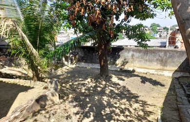 Imagem 7: Casa para Venda Piam. Varanda, 360m² de Área, 1 Banheiroe1 Dormitório