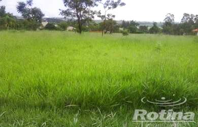 Imagem: O terreno possui 5.300m² de Área e está localizado em Morada