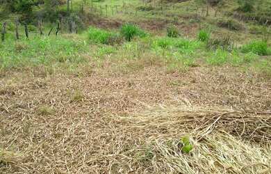 Imagem 1: São João Del Rei - Loteamento/Condomínio - Tejuco