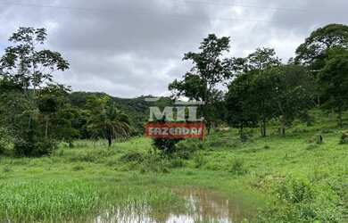 Imagem 13: Fazenda 31,5 alqueires 153 hectares em Hidrolândia - GO
