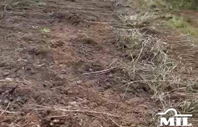 Imagem 7: Fazenda em Goianésia do Pará. > 214 Alq. (1.036 Há