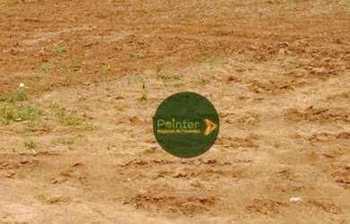 Imagem 9: Fazenda à venda, 10696400 m² por R$ 95.000.000,00 - Zona Rural - Palestina...