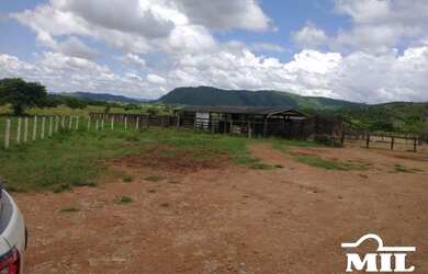Imagem 6: Fazenda em São Felix do Xingu-PA. 5.005 Há. Soja ou Boi