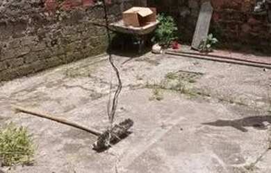 Imagem: A casa possui 1 Dormitório e 1 Banheiro e está localizado