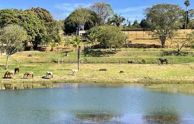 Imagem 15: Chácara de luxo em Trindade-Go 7.68 alqueires