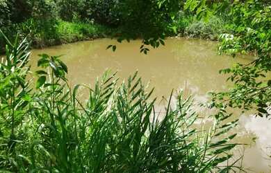 Imagem: A fazenda está localizado em Jaboticatubas, MG à venda por