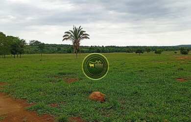 Imagem 10: 197 Alqueires Novo Brasil