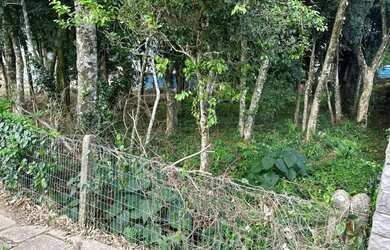 Imagem 5: Terreno à venda em Gramado - Pronto para construir