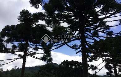 Imagem 5: Propriedade Rural no bairro Serra Grande